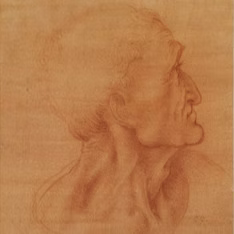 I Volti di Leonardo — facsimile da collezione di Leonardo da Vinci, Collezioni Istituzionali