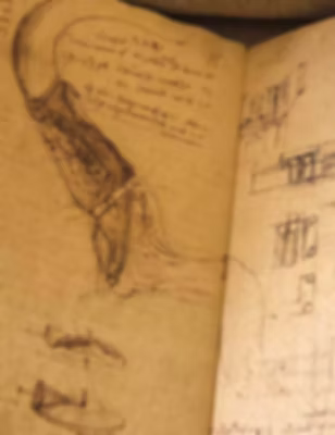 Immagine codici di Leonardo